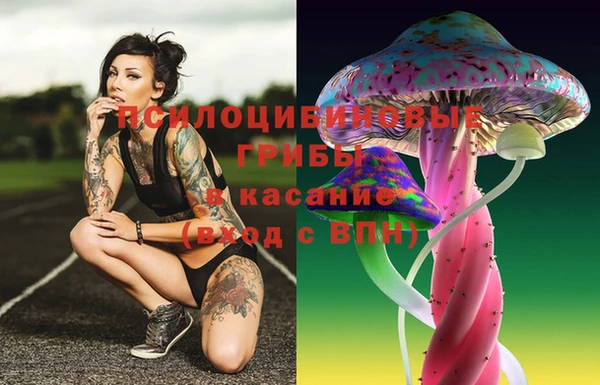 хмурый Вязьма