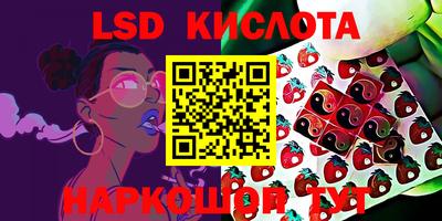 молекула духа Ставрополь