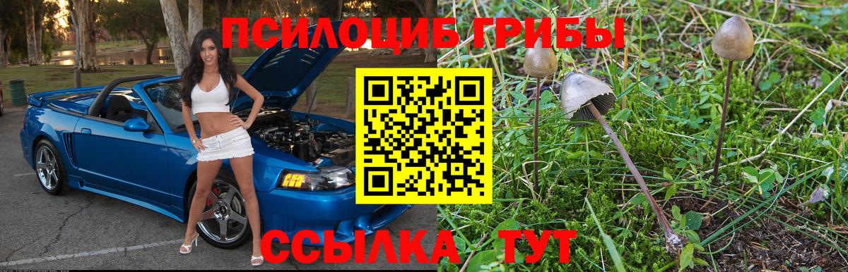 Галлюциногенные грибы GOLDEN TEACHER Ноябрьск