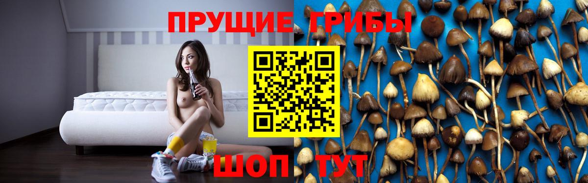 Ноябрьск  что такое   Вход с VPN  Галлюциногенные грибы Psilocybine cubensis  Галлюциногенные грибы прущие грибы 